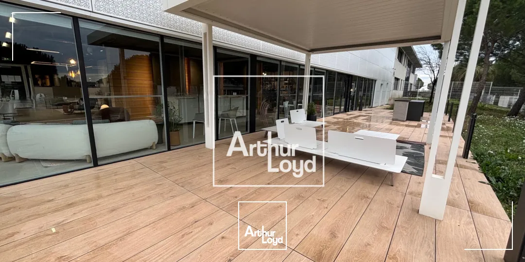 Locaux d'activité & Entrepôts - Vente - MONTPELLIER - 34070 - 1300-1300 - 7676453