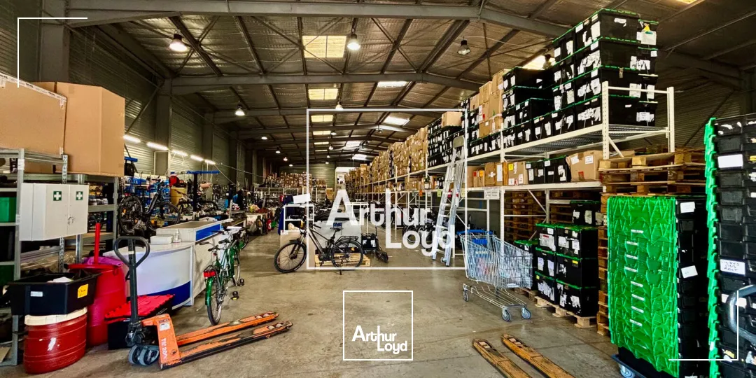 Locaux d'activité & Entrepôts - Location - LATTES - 34970 - 1690-1690 - 7676457