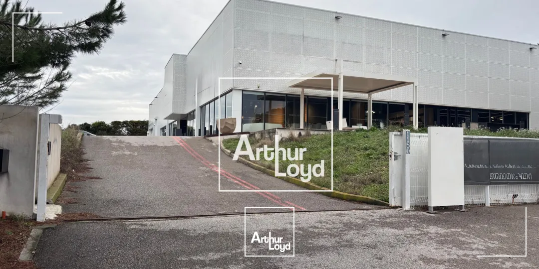 Locaux d'activité & Entrepôts - Location - MONTPELLIER - 34070 - 1300-1300 - 7676464