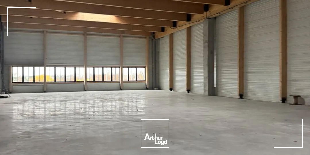 Locaux d'activité & Entrepôts - Location - LEZENNES - 59260 - 500-6000 - 7676747