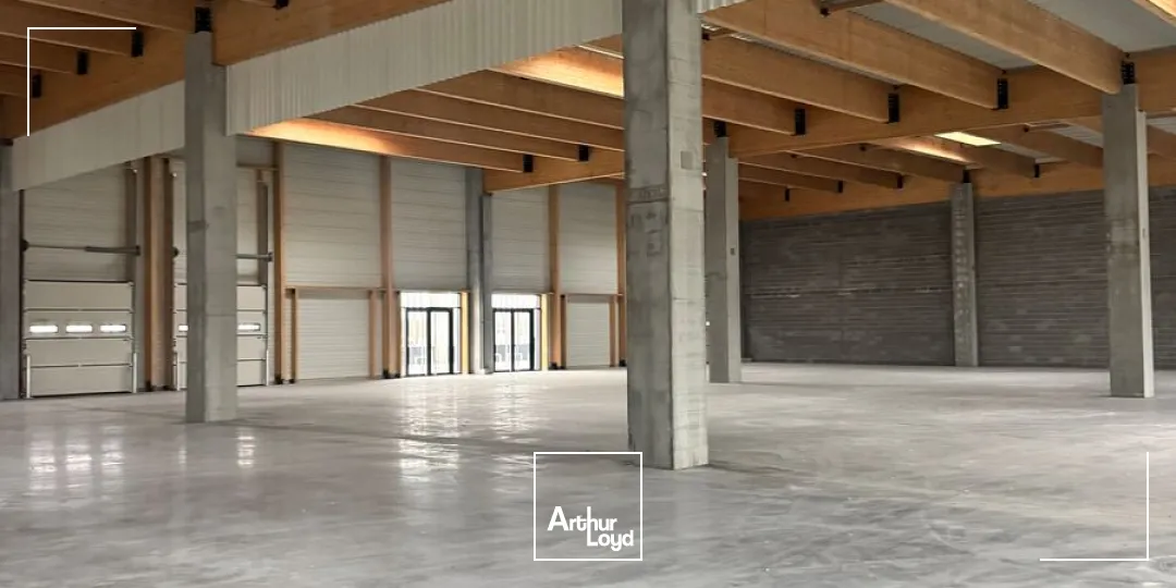 Locaux d'activité & Entrepôts - Location - LEZENNES - 59260 - 500-6000 - 7676748