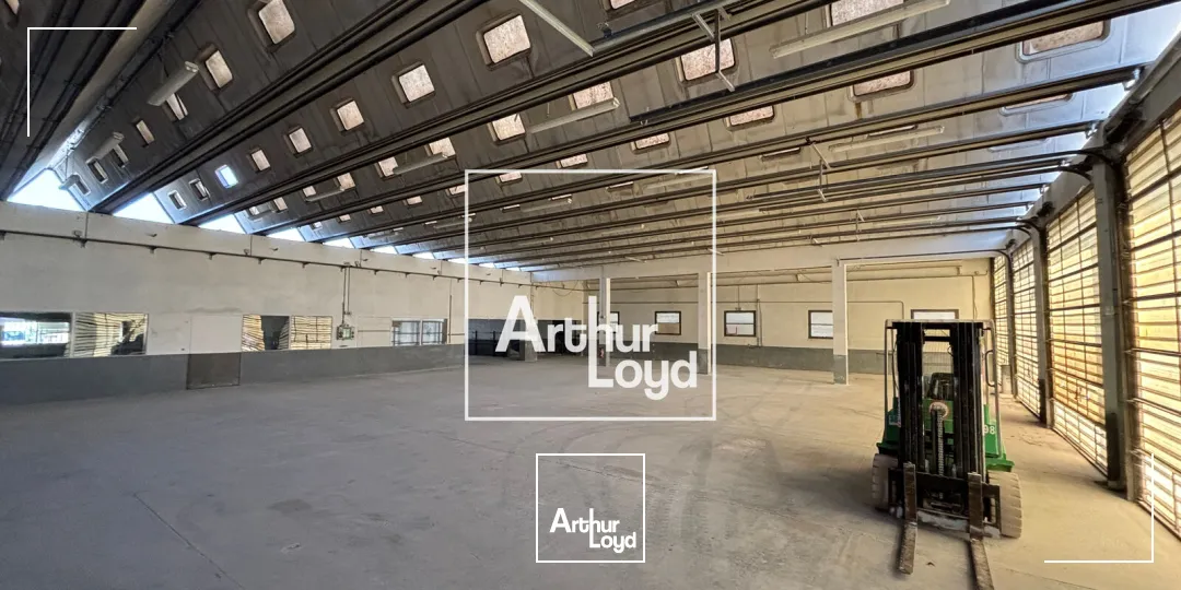 Locaux d'activité & Entrepôts - Location - SAINT HILAIRE DE BRETHMAS - 30560 - 878-878 - 7677355