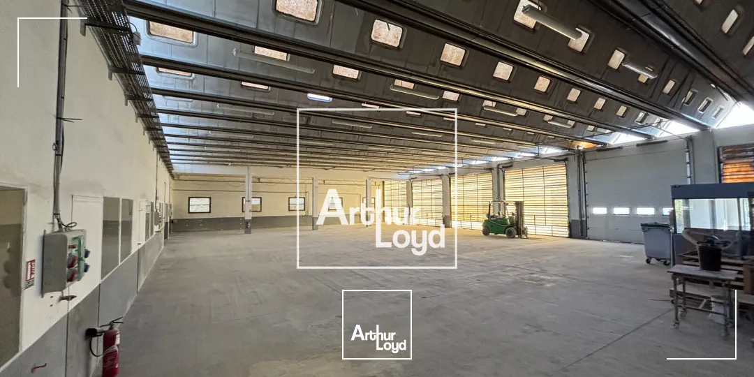 Locaux d'activité & Entrepôts - Location - SAINT HILAIRE DE BRETHMAS - 30560 - 878-878 - 7677356