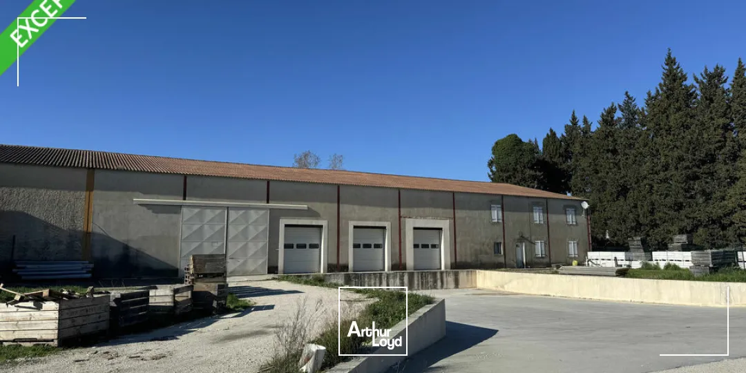 Locaux d'activité & Entrepôts - Vente - NOVES - 13550 - 800-800 - 7678889