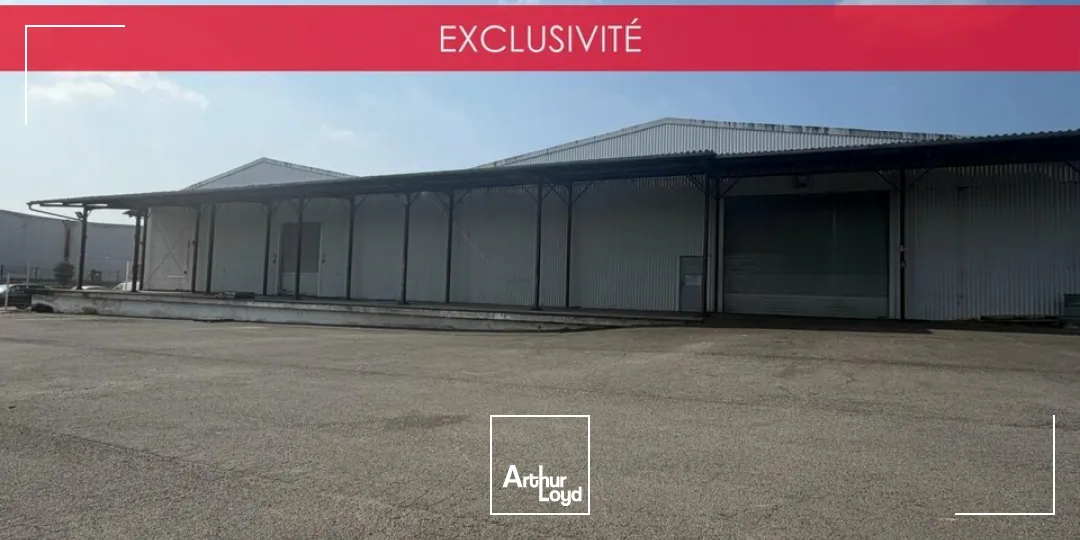 Locaux d'activité & Entrepôts - Vente - SAINT-DOULCHARD - 18230 - 3800-3800 - 7679041