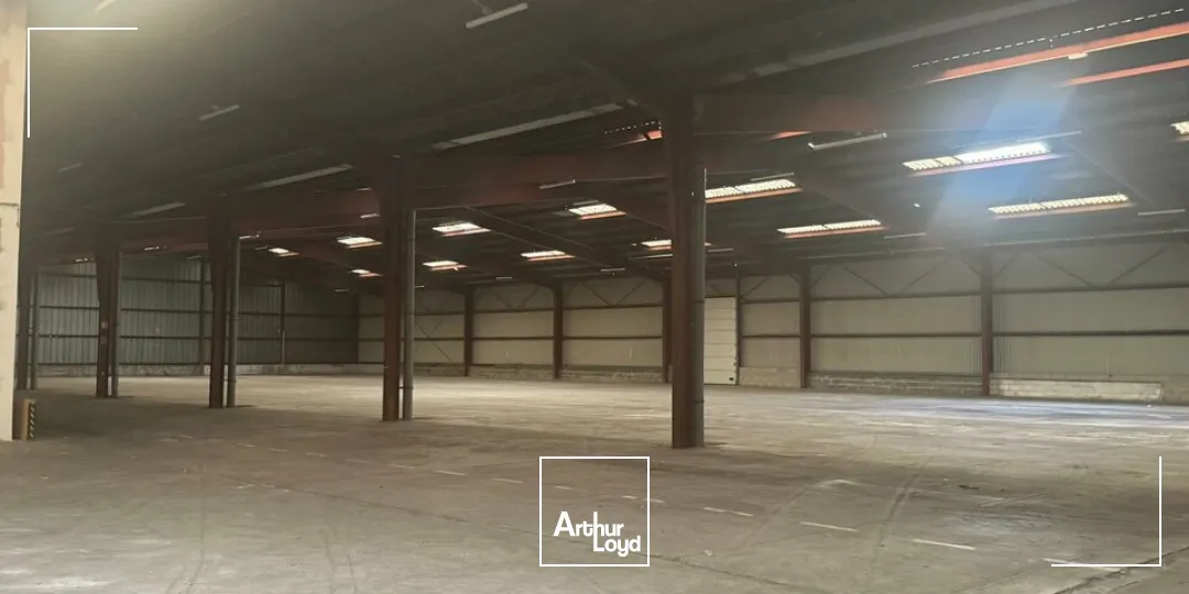 Locaux d'activité & Entrepôts - Vente - SAINT-DOULCHARD - 18230 - 3800-3800 - 7679046