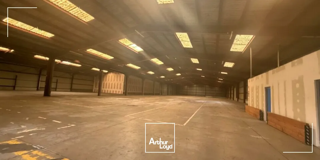 Locaux d'activité & Entrepôts - Vente - SAINT-DOULCHARD - 18230 - 3800-3800 - 7679045