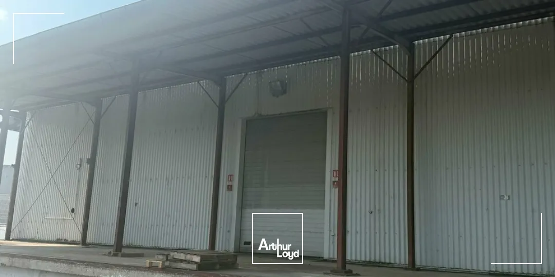 Locaux d'activité & Entrepôts - Vente - SAINT-DOULCHARD - 18230 - 3800-3800 - 7679043