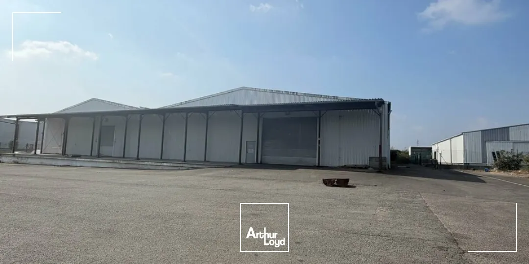 Locaux d'activité & Entrepôts - Vente - SAINT-DOULCHARD - 18230 - 3800-3800 - 7679042