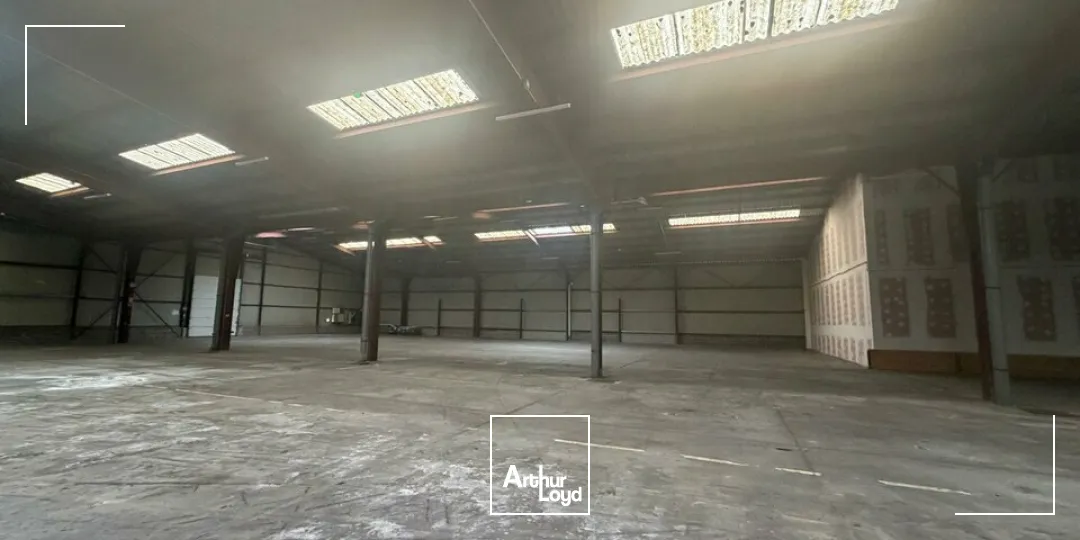 Locaux d'activité & Entrepôts - Vente - SAINT-DOULCHARD - 18230 - 3800-3800 - 7679052