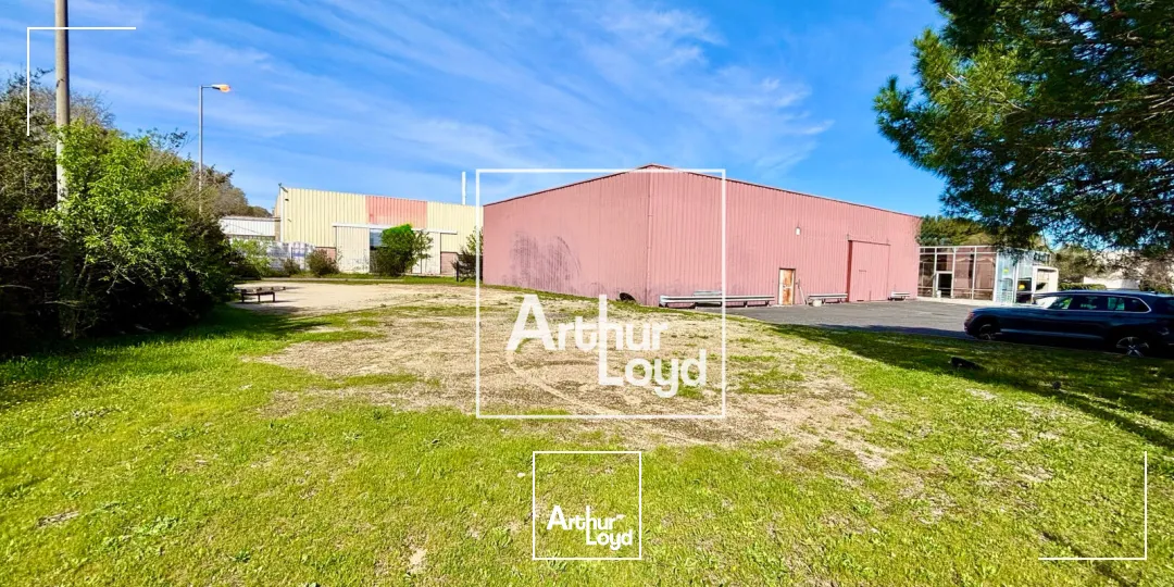 Locaux d'activité & Entrepôts - Vente - SAINT JEAN DE VEDAS - 34430 - 1069-1069 - 7679102