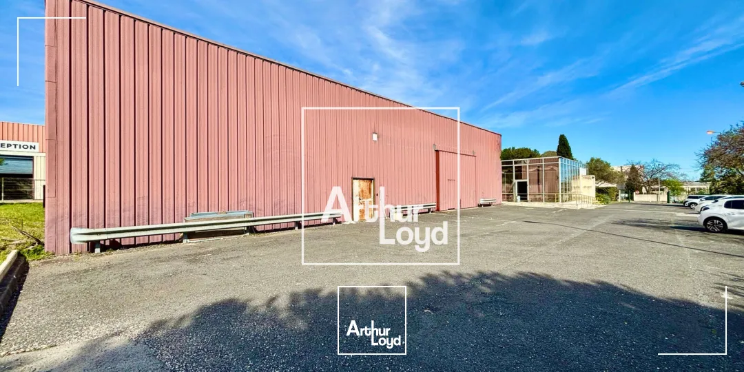 Locaux d'activité & Entrepôts - Vente - SAINT JEAN DE VEDAS - 34430 - 1069-1069 - 7679101