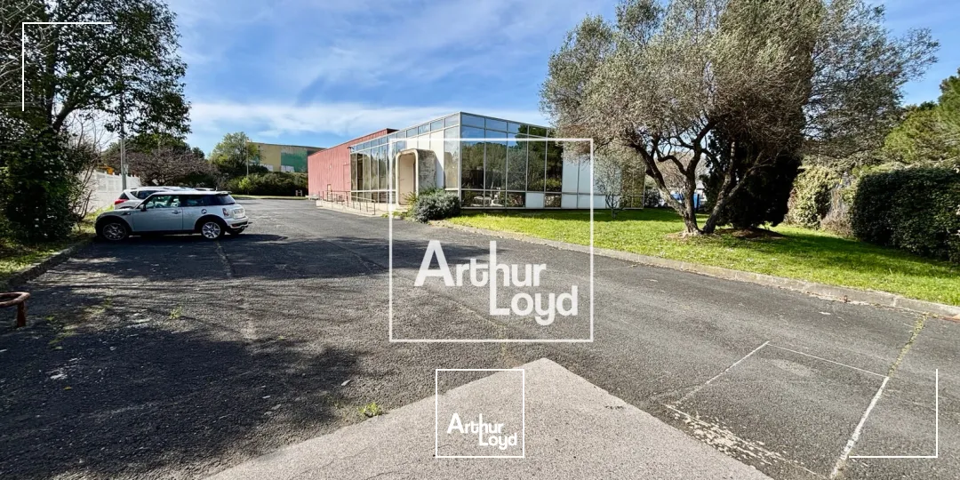 Locaux d'activité & Entrepôts - Vente - SAINT JEAN DE VEDAS - 34430 - 1069-1069 - 7679103