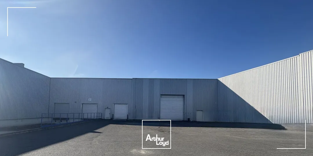 Locaux d'activité & Entrepôts - Location - OLIVET - 45160 - 3163-3163 - 7679241