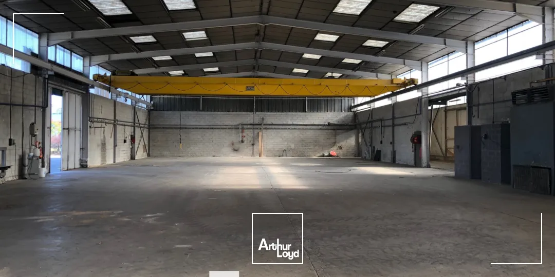 Locaux d'activité & Entrepôts - Location - CHASSIEU - 69680 - 1250-1250 - 7687088