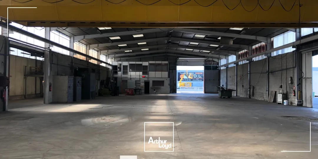 Locaux d'activité & Entrepôts - Location - CHASSIEU - 69680 - 1250-1250 - 7687087