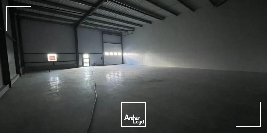 Locaux d'activité & Entrepôts - Vente - THEIX NOYALO - 56450 - 300-300 - 7694844