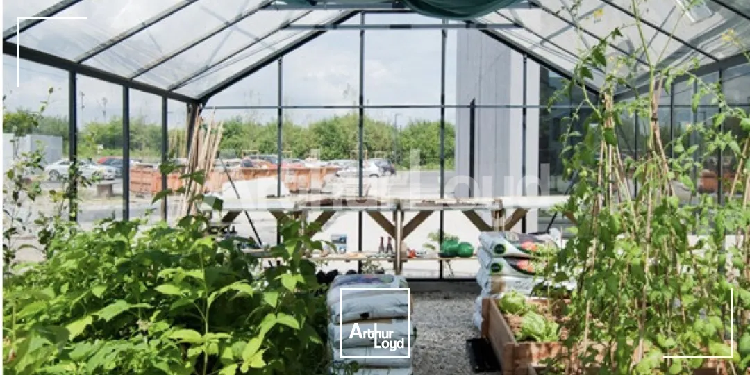 Bureaux - Location - LESQUIN - 59810 - 136.5-624.99 - 7718332