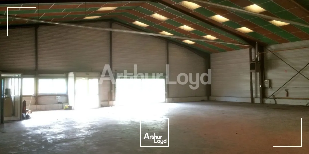 Locaux d'activité & Entrepôts - Location - DOUAI - 59500 - 470-470 - 7718864