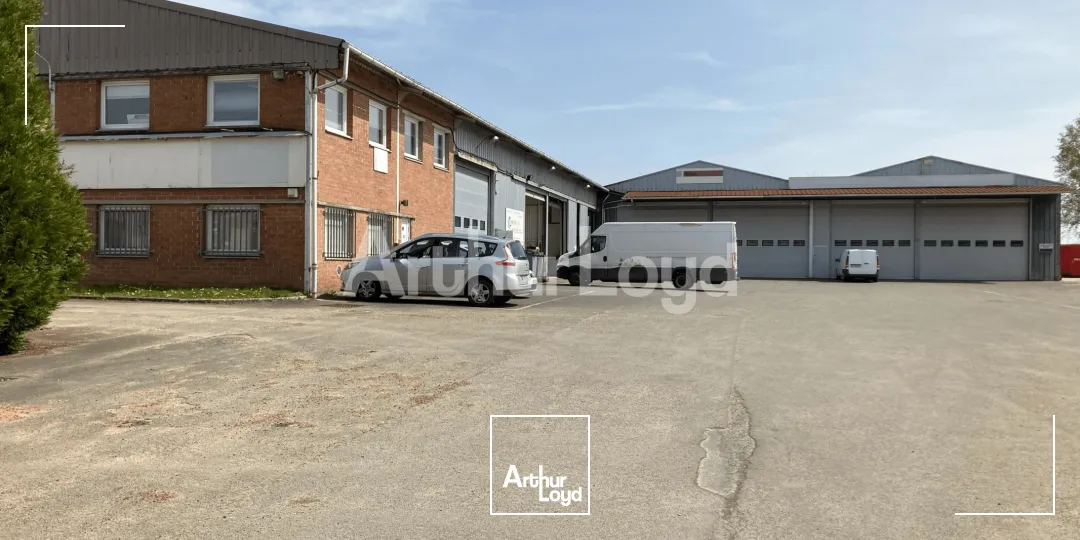 Locaux d'activité & Entrepôts - Location - SECLIN - 59113 - 512-512 - 7718905