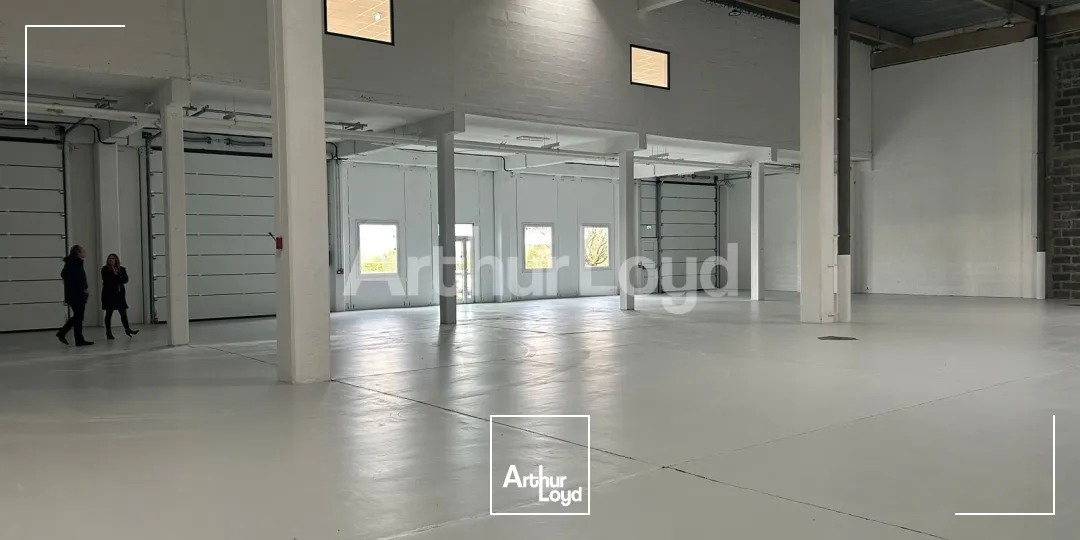 Locaux d'activité & Entrepôts - Location - VILLENEUVE D'ASCQ - 59650 - 233-2049 - 7718918