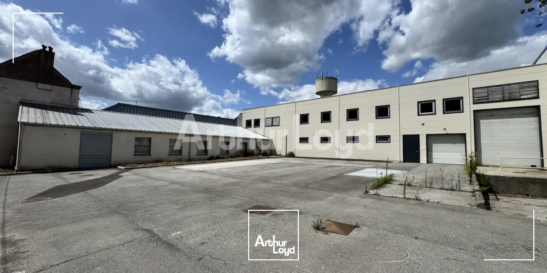 Locaux d'activité & Entrepôts - Location - CROIX - 59170 - 2351-2351 - 7719058