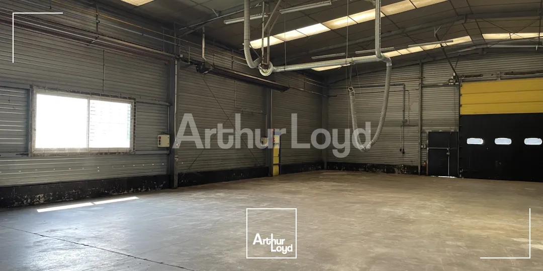 Locaux d'activité & Entrepôts - Vente - SAINT LAURENT BLANGY - 62223 - 1444-1444 - 7719134