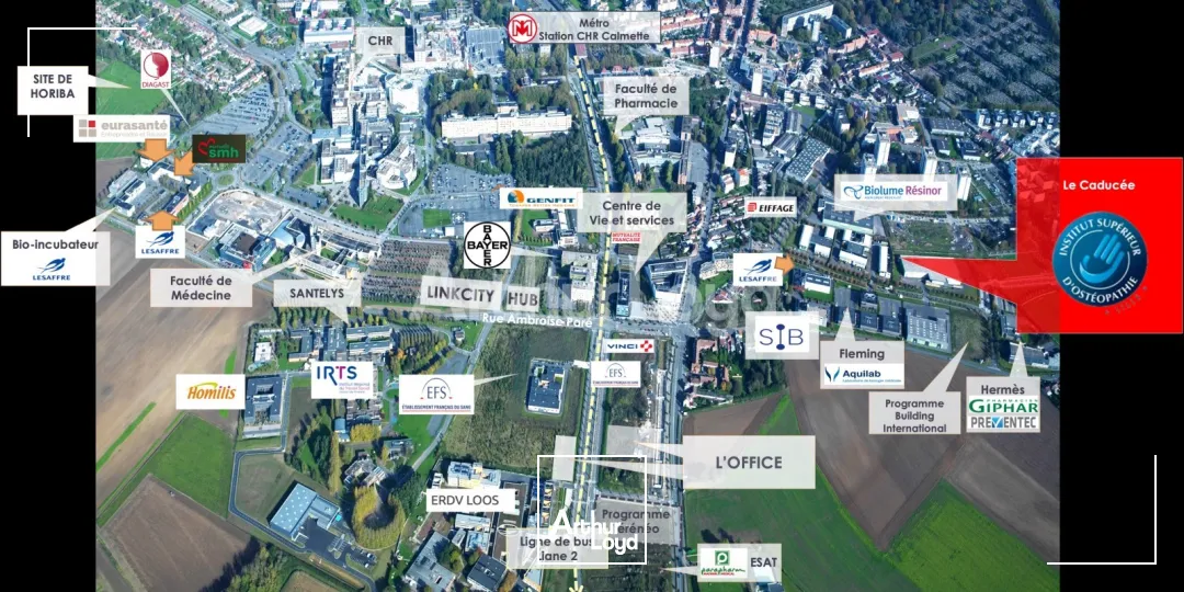 Bureaux - Vente - LOOS - 59120 - 874-874 - 7719252