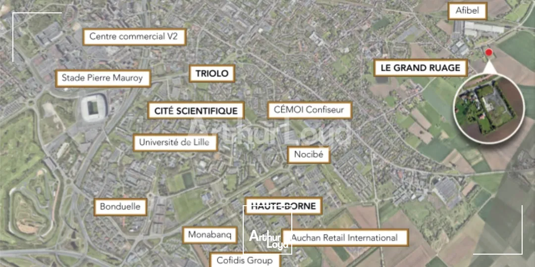 Bureaux - Location - VILLENEUVE D'ASCQ - 59650 - 80-1128 - 7719269