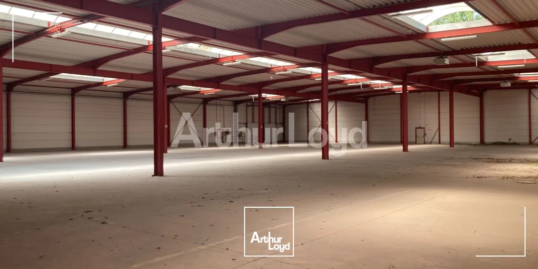 Locaux d'activité & Entrepôts - Location - HALLUIN - 59250 - 2640-2640 - 7719583