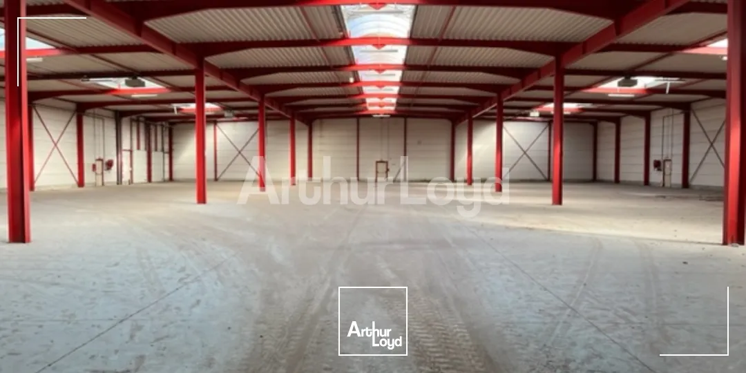 Locaux d'activité & Entrepôts - Location - HALLUIN - 59250 - 2640-2640 - 7719582