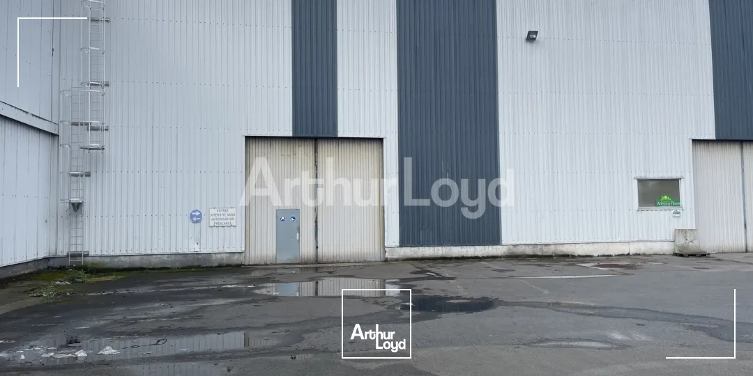 Locaux d'activité & Entrepôts - Location - DOUAI - 59500 - 1370-6370 - 7719909