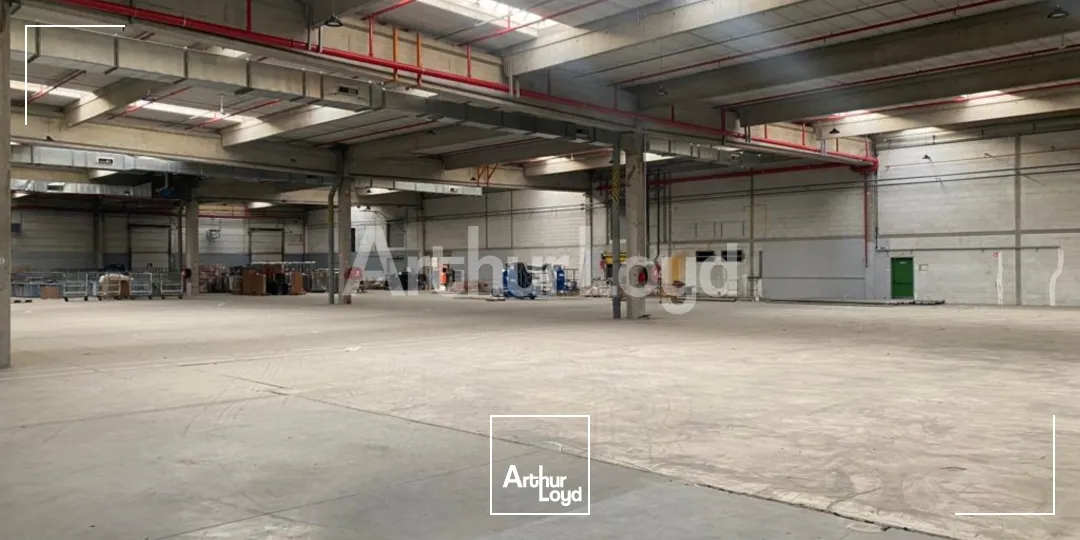 Locaux d'activité & Entrepôts - Location - VILLENEUVE D'ASCQ - 59650 - 19600-19600 - 7720629