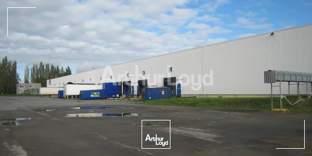 Locaux d'activité & Entrepôts - Location - VILLENEUVE D'ASCQ - 59650 - 19600-19600 - 7720630