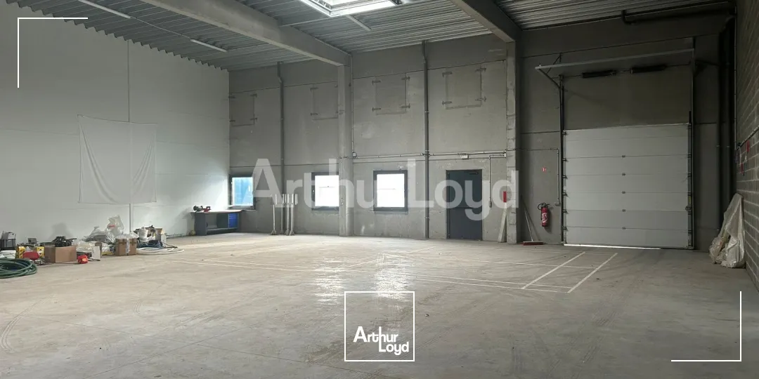 Locaux d'activité & Entrepôts - Location - SAINGHIN EN MELANTOIS - 59262 - 545-545 - 7721187