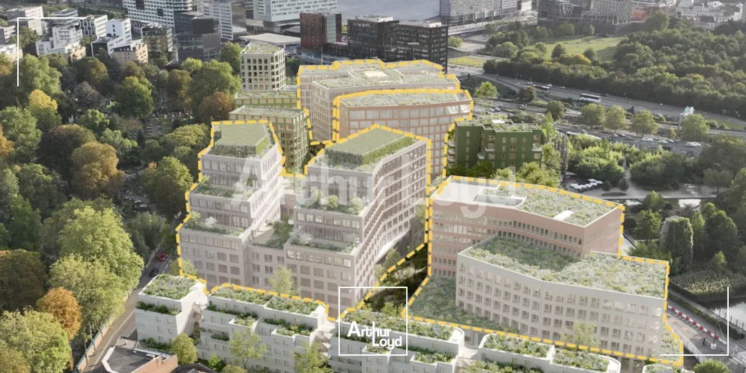 Bureaux - Location - LILLE - 59800 - 243-55361 - 7721597