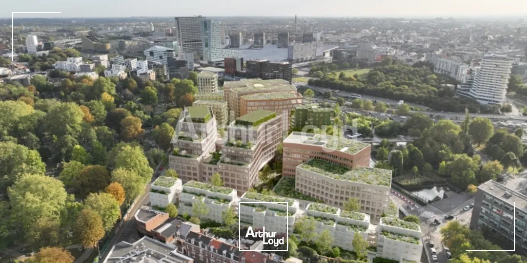 Bureaux - Location - LILLE - 59800 - 243-55361 - 7721596