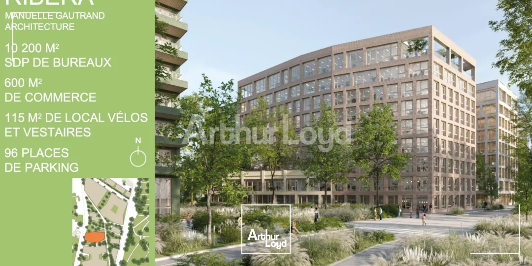 Bureaux - Location - LILLE - 59800 - 243-55361 - 7721617