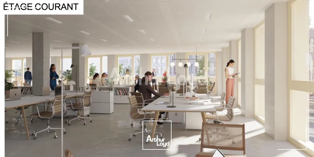 Bureaux - Location - LILLE - 59800 - 243-55361 - 7721616