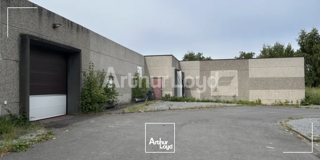 Locaux d'activité & Entrepôts - Location - HALLUIN - 59250 - 2013-2013 - 7721657