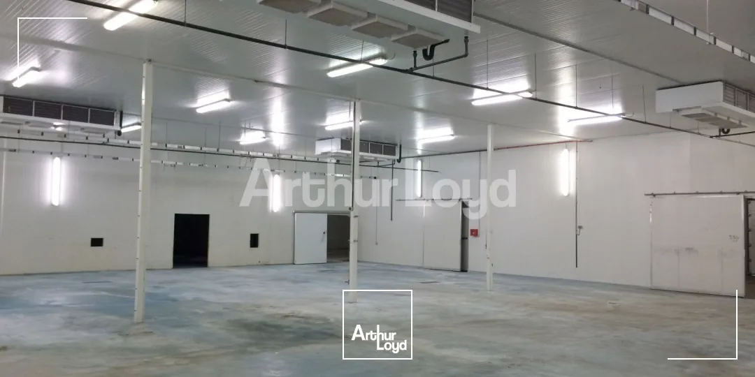 Locaux d'activité & Entrepôts - Location - MONCHY LE PREUX - 62118 - 3300-3300 - 7721904