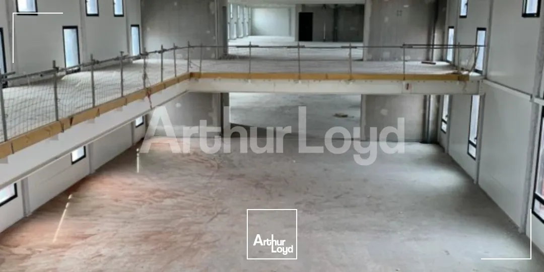 Locaux commerciaux - Location - LILLE - 59000 - 312-2541 - 7722198