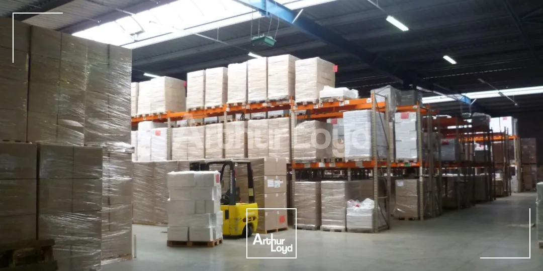 Locaux d'activité & Entrepôts - Location - RONCQ - 59223 - 2556-2556 - 7722511