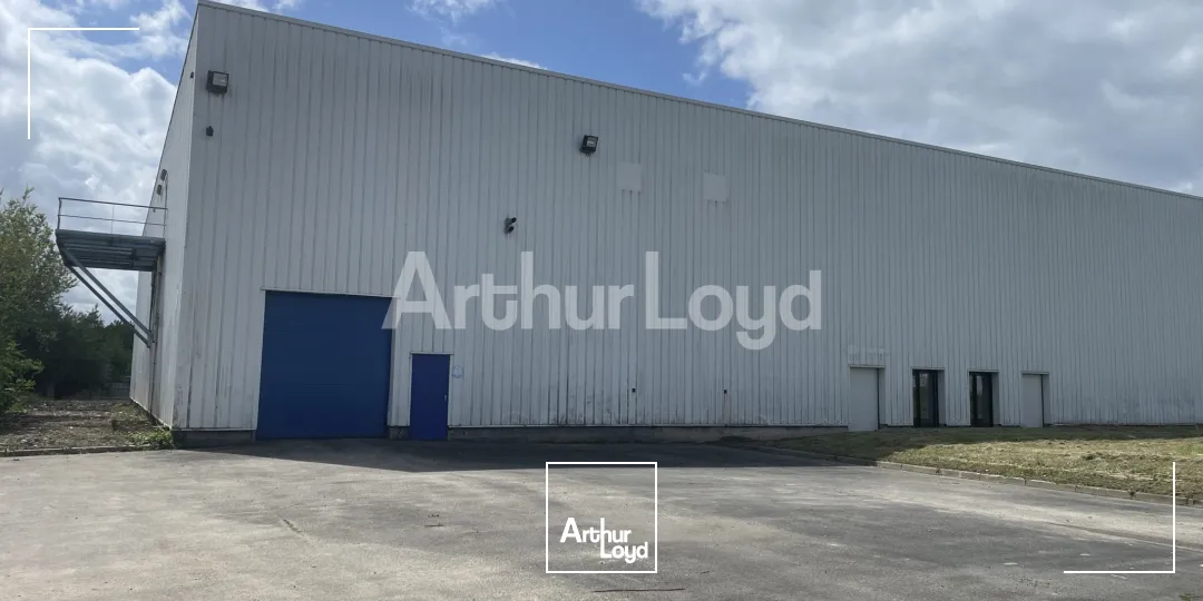 Locaux d'activité & Entrepôts - Location - TRITH SAINT LEGER - 59125 - 1000-1000 - 7722587