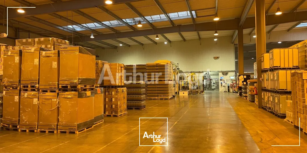 Locaux d'activité & Entrepôts - Location - DOUAI - 59500 - 8200-8200 - 7723482