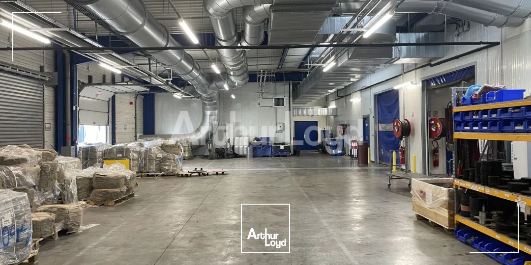 Locaux d'activité & Entrepôts - Vente - BETHUNE - 62400 - 6000-6000 - 7723757