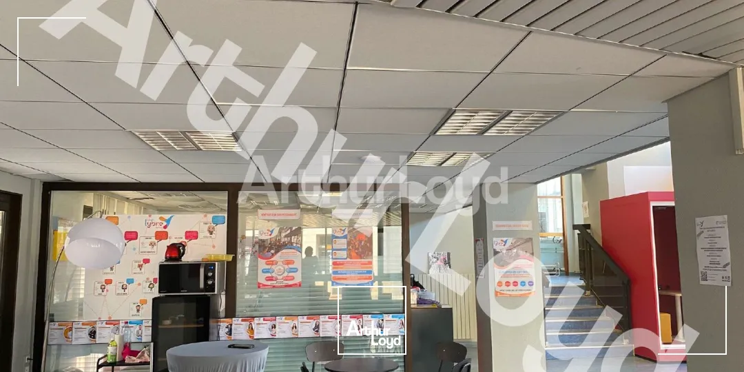 Locaux commerciaux - Location - BETHUNE - 62400 - 329-329 - 7723769