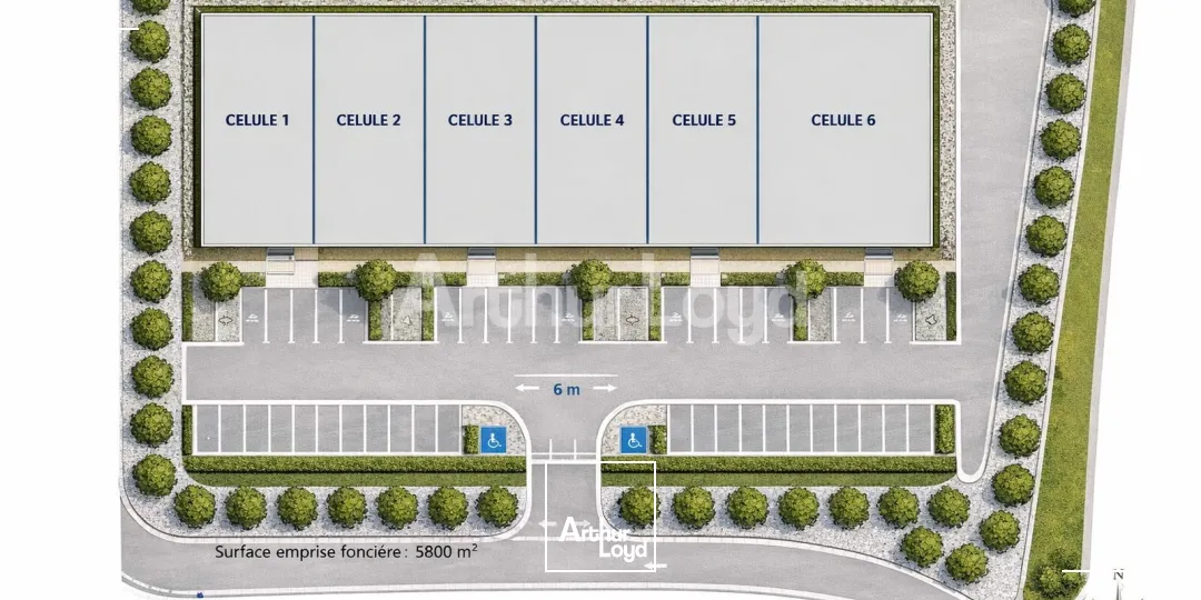 Locaux d'activité & Entrepôts - Location - SAINT MARTIN BOULOGNE - 62280 - 284.2-1715 - 7724440