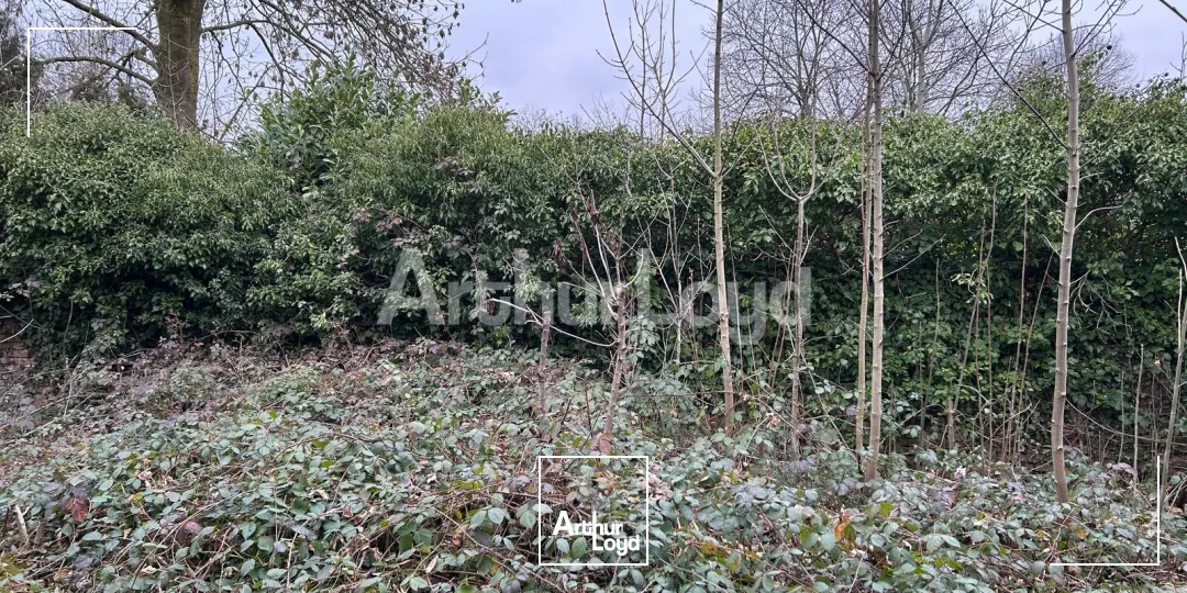 Locaux d'activité & Entrepôts - Vente - SAINT SAULVE - 59880 - 1400-1400 - 7724768