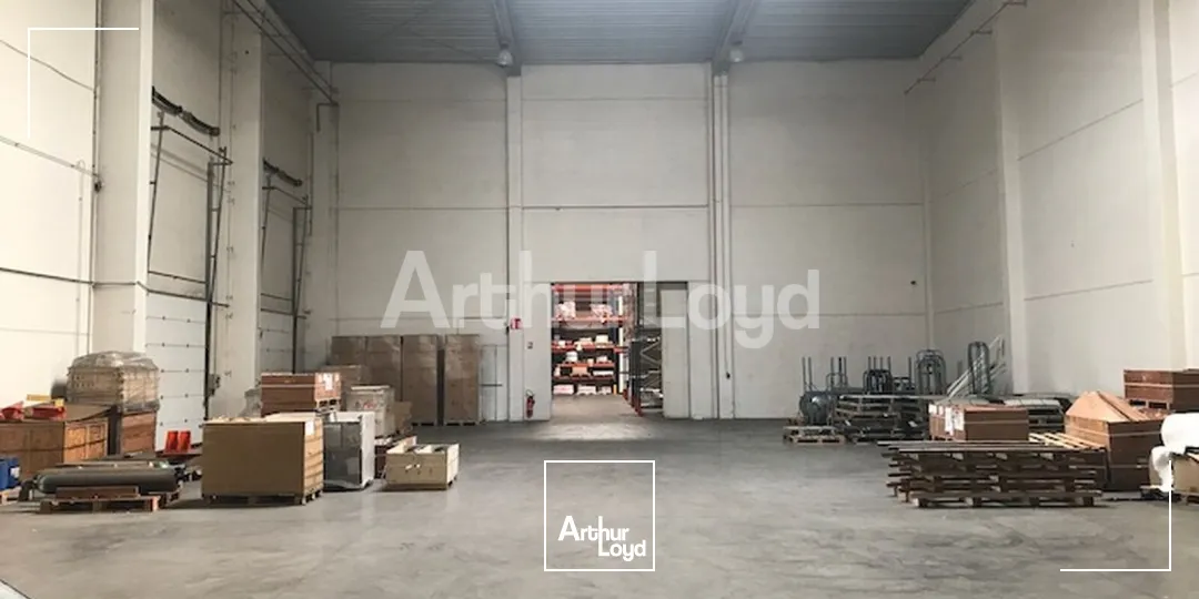 Locaux d'activité & Entrepôts - Vente - ROUVIGNIES - 59220 - 4732-4732 - 7725247